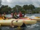 Thumbs/tn_DSCN4342.jpg
